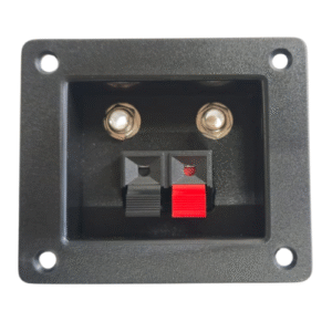 Terminal de 2 Jack 1/4" y 2 Push